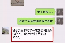 商丘为什么选择专业追讨公司来处理您的债务纠纷？